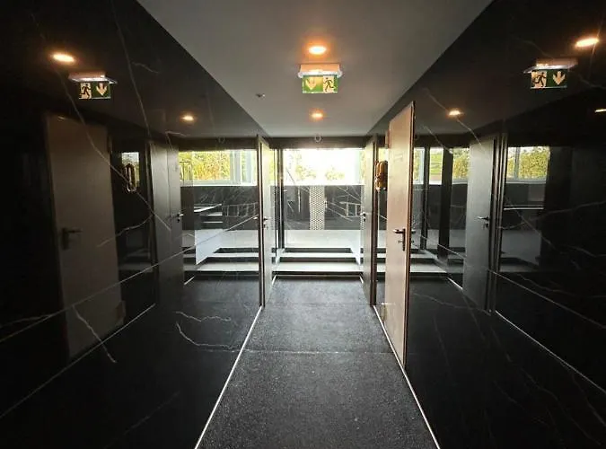 Bauhaus Dream Deluxe שיופוק